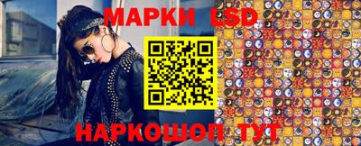 индика Брянск