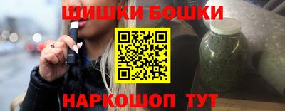 индика Брянск