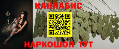 индика Брянск