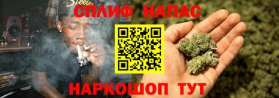 индика Брянск
