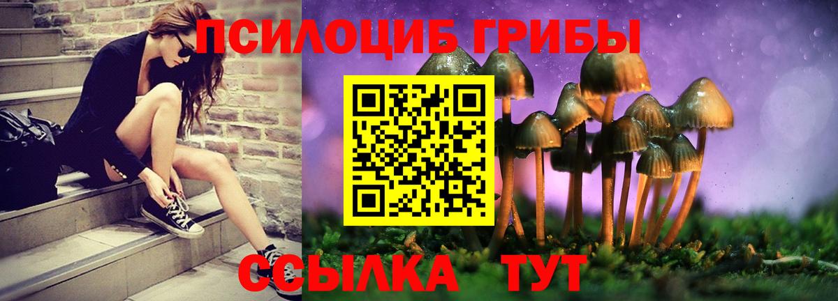 Бор  Псилоцибиновые грибы Magic Shrooms  Вход с VPN 